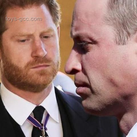 英王室秘密筹备凯特王妃葬礼问题解决方案